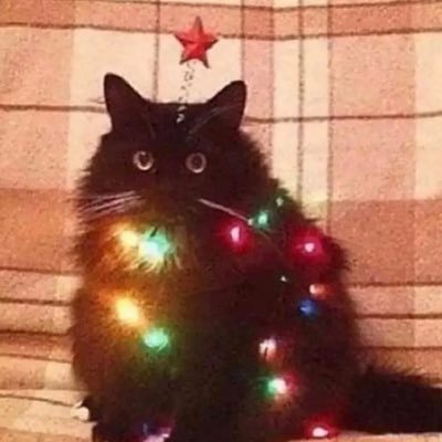 CarrierHimself's profile picture. the one and only