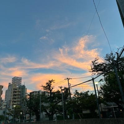 sachisyumi's profile picture. 113🍆🔰