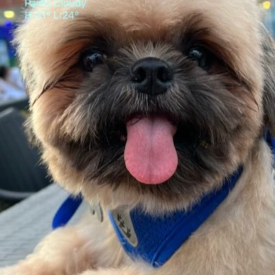 jappymanlangit's profile picture. keepin it real!!