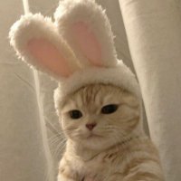 sher (@ericonthekeys) 's Twitter Profile Photo sher (@ericonthekeys) 's Twitter Profile Photo