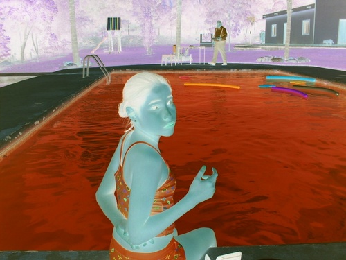 virtualpate's profile picture. Kiss The Pig