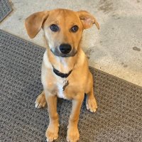 Eric Snider (@e112snider) 's Twitter Profile