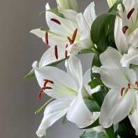 em (^._.^)ﾉ (@emstudiez) 's Twitter Profile