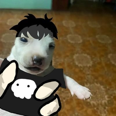 HngLuNh2's profile image