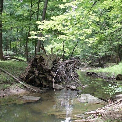 AravBhandari10's profile picture. 