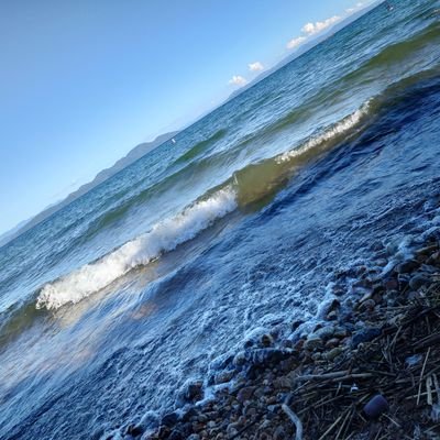 Hama_no_Iemoto's profile picture. 2022年12月に、ある事をきっかけにミニ四駆で遊ぶ事に…
今では微温湯に浸かって出れない状態に😓
週末は琵琶湖に浸かってるか、ミニ四駆に浸かっております🙇