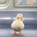 Grady Stanton - @GStanton53121 - Twitter