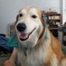 Remdog (@remdog520) Twitter profile photo Remdog (@remdog520) Twitter profile photo