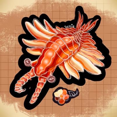 •world's number one coelacanth fan
•internationally recognized Bug Person
•pfp by the talented @selkie_bug