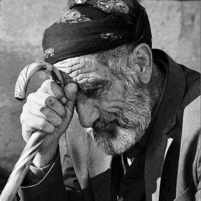 HayatiZabi93534's profile picture. 