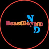 BeastBoy ND(@tellytakeN) 's Twitter Profile Photo