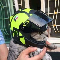 BABY LION (@fpl_rawr) 's Twitter Profile