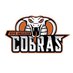 BACobrasFB (@bacobrasfb) Twitter profile photo BACobrasFB (@bacobrasfb) Twitter profile photo