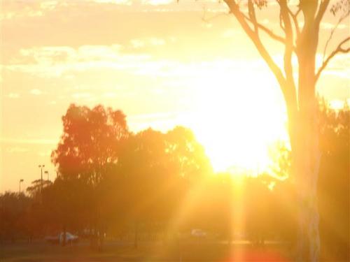 SarahGoodwinAUS's profile picture. To share my love of FASHION via TWITTER... The one to follow for constant surprises.