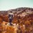 roma_alhabibi's profile image