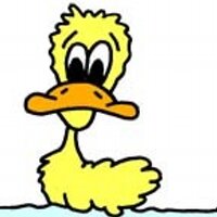 flusteredduck (@flusteredduck) 's Twitter Profile