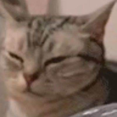 dmasfc's profile picture. 