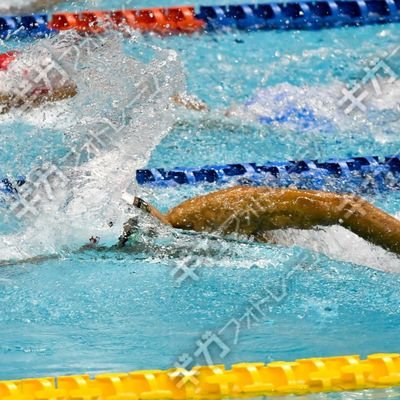 🏊️麗水会⇐県立浦和⇐セントラル大宮宮原╱普通のサラリーマン╱練習苦手,嫌い╱ターンのないレースだけ出場します