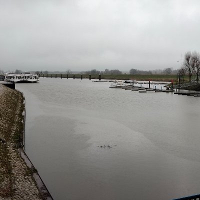 Sonnenstra46886's profile picture. 