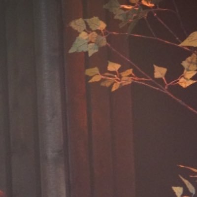 m_pick__'s profile picture. 기록용📷