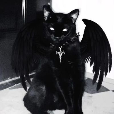 jacky0831722745's profile picture. 作者什么也没留下