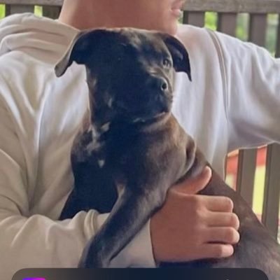 _jackson_nash_'s profile picture. 