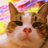 amordvinov09's profile image