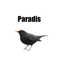 Paradis(@sy_paradis) 's Twitter Profile Photo