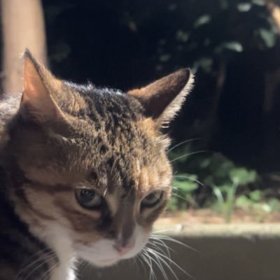zhouhong_g's profile picture. 