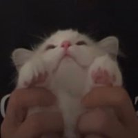 ๐ณ (@findingnavy) 's Twitter Profile