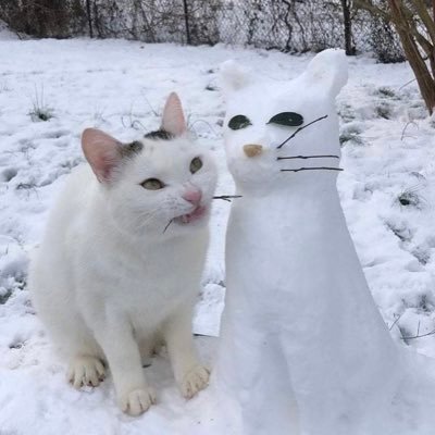 garden_e5's profile picture. any pronouns | 19 | tw venting | dont be shy i love to talk but im not too active here