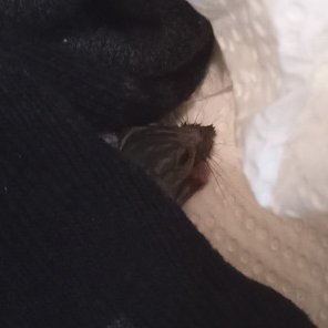 Bunninsula's profile picture. 