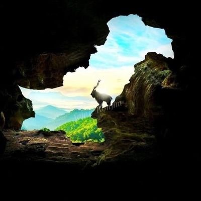 MSawan8601's profile picture. 