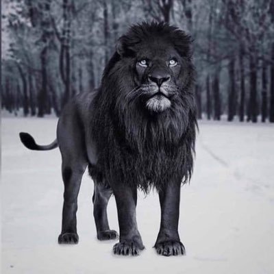 ewan_henry's profile picture. 