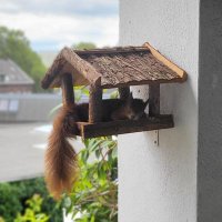 Kilian Hensen (@lekilhen) 's Twitter Profile