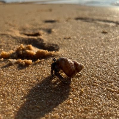 AaronSoh3's profile picture. 