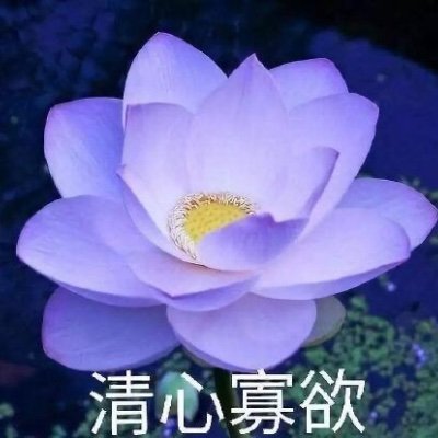 每次一打开推就会被开屏的首页吓晕 龙大好き❤️此账号会转发大量喜欢的委托,如介意可手动选择关闭转帖,AI绘画❌ 中文🟢English🟢日本語を勉強しています(翻訳を使います)⭕️