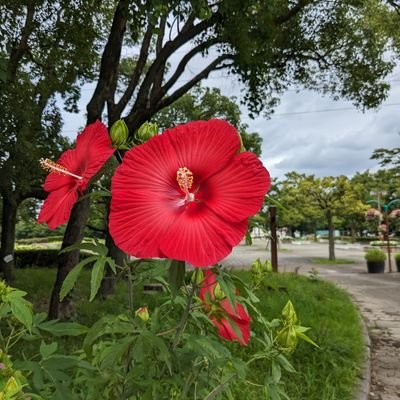 平和を守りたい
暮らしを大切に