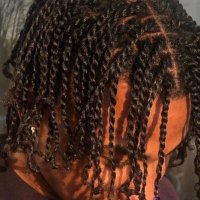 Darwin (@darwins_strokes) 's Twitter Profile