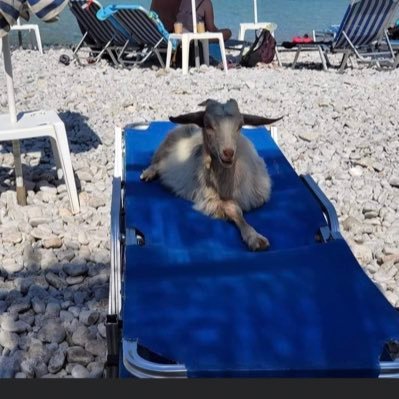 titiced56's profile picture. et pi c'est tout !!!!!