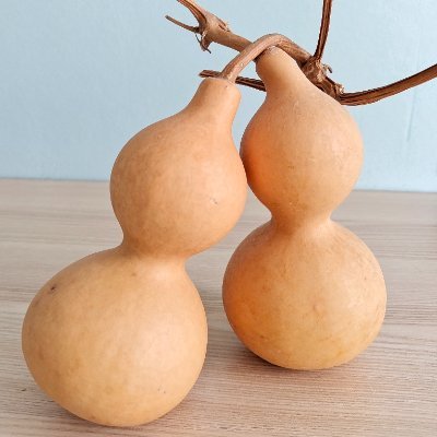 Li_simplefree's profile picture. 胡同串子，youtuber一枚，喜欢异想天开，但拒绝胡思乱想，什么事都得多琢磨琢磨，怎么也得有点逻辑。不争对与错，只谈所以然