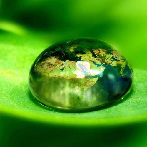 beautyisle's profile picture. 