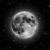 Moon (@wombatwen) Twitter profile photo Moon (@wombatwen) Twitter profile photo