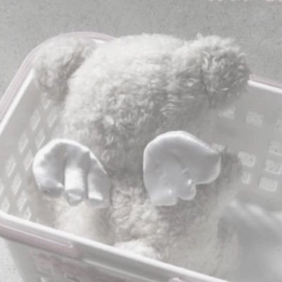 puppys2hoon's profile picture. 성훈이 제일 좋아해!