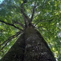 Masayoshi Someya / 染谷 昌義 (@masa1970_some) 's Twitter Profile Photo