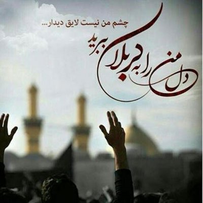 zizi97349154's profile picture. خراسان شمالی_رازجرگلان