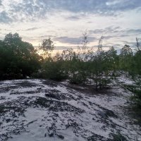 hoangkhoicmk (@hoangkhoi11540) 's Twitter Profile