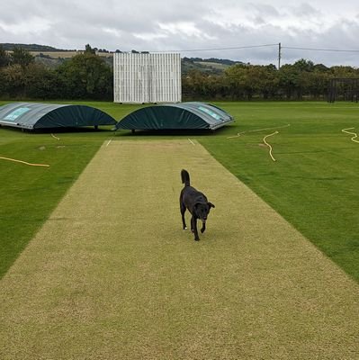 Award winning cricket pitches 
County Pitch Advisor - Cricket East