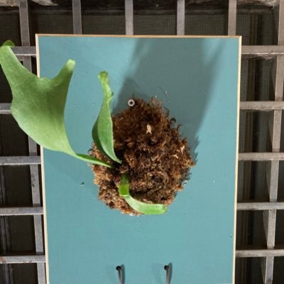 TWyunlun's profile picture. Hi