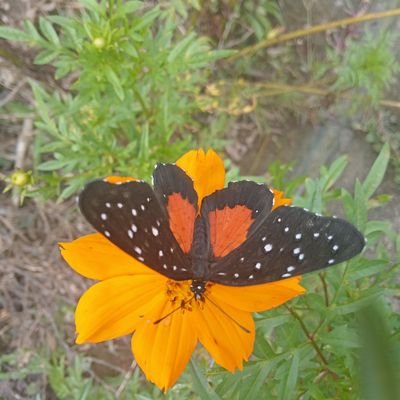 TattyArias28's profile picture. 💚💚💚